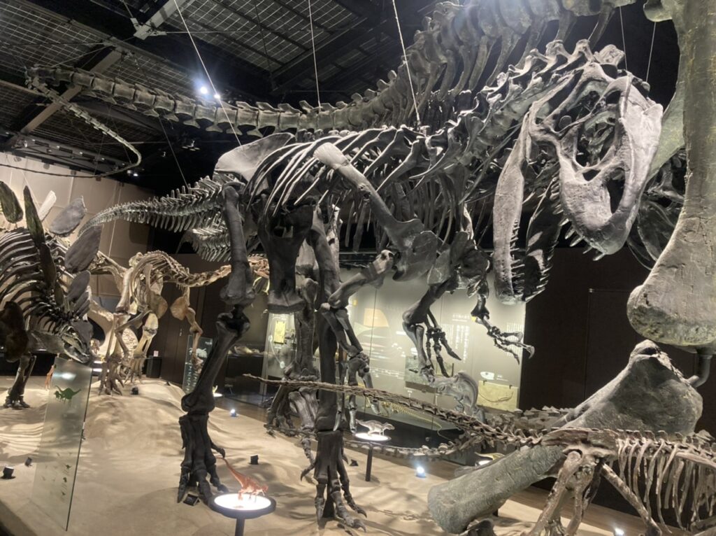 館内展示恐竜