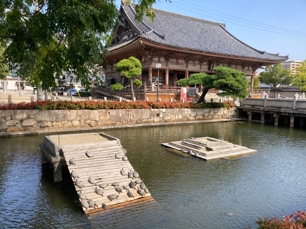 四天王寺さんの六時堂と亀池の写真